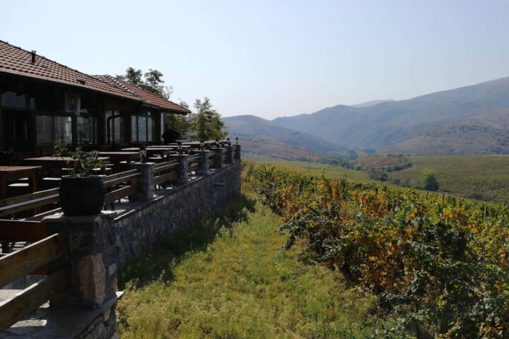 Sopot Winery Tour from Skopje
