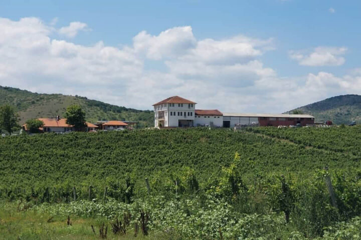 Sopot Winery Tour from Skopje