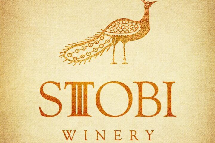 Stobi Wine Tour from Skopje