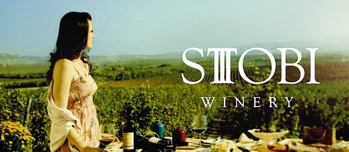 Stobi Wine Tour from Skopje