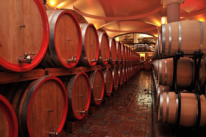 Stobi Wine Tour from Skopje