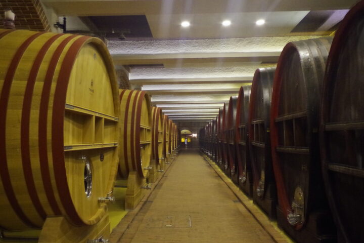 Tikves Wine tour from Skopje
