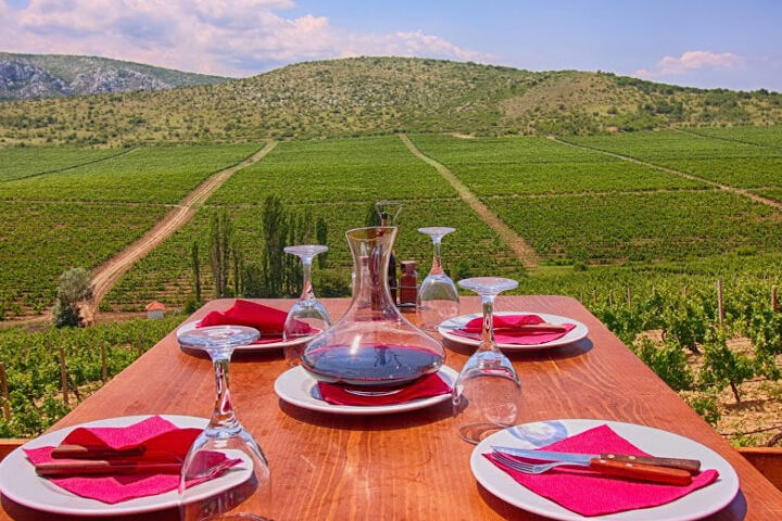 Sopot Winery Tour from Skopje