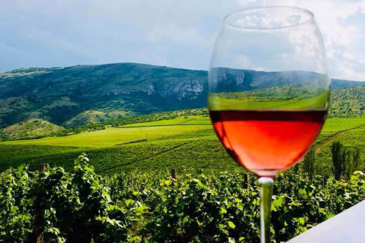 Sopot Winery Tour from Skopje