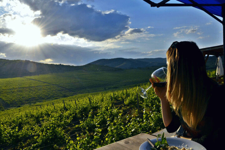 Sopot Winery Tour from Skopje